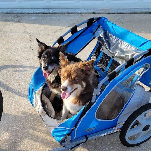 LIVE Thursday 8am est Rolling Into The Holidays Share Show - Picture 8 of 8